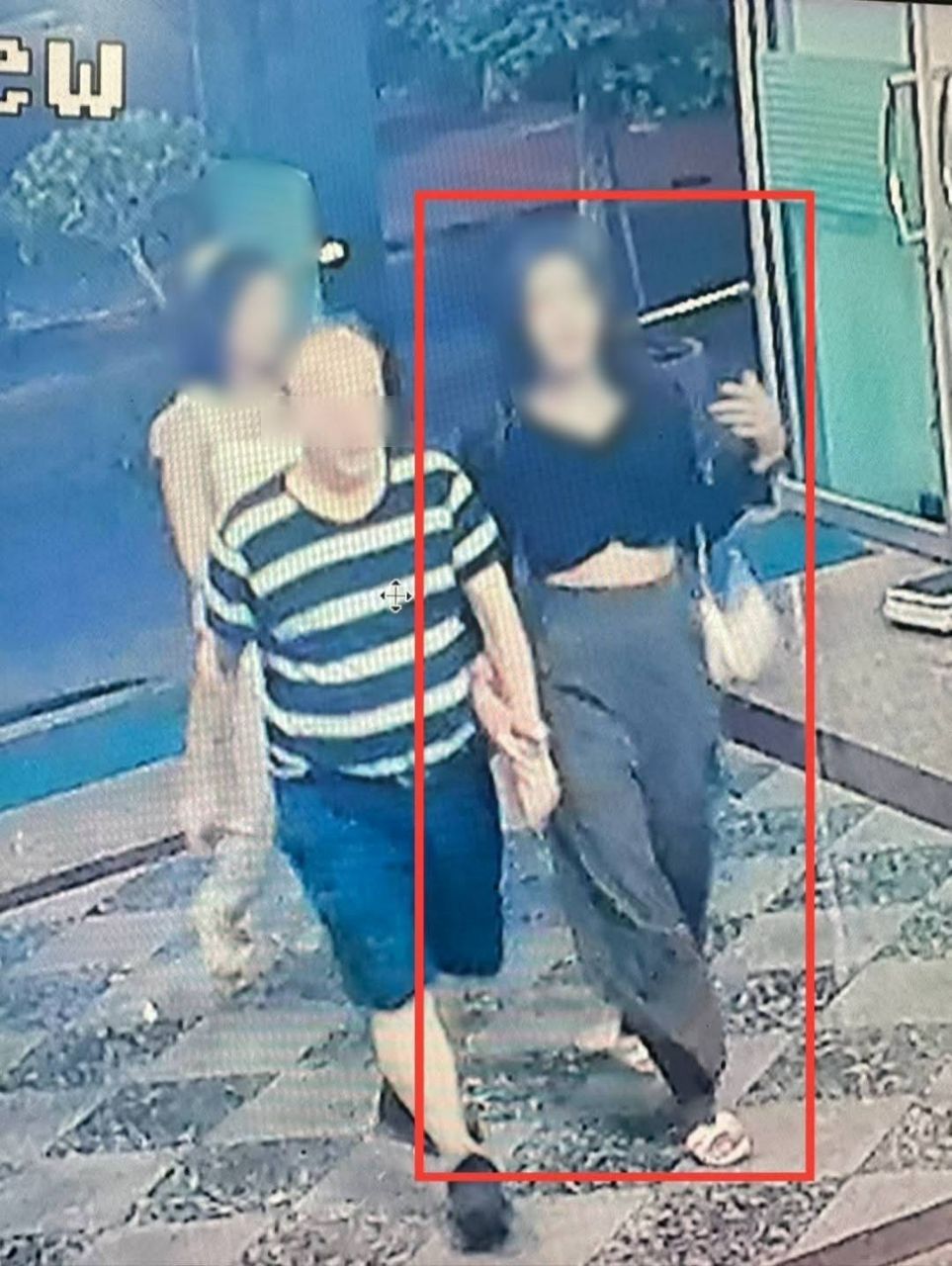 في Pattaya، سرقت السيدة الشاب Swede بعد التعرف على ليدوبياين الشرطة في Pattaya تبحث عن مرتكبي السرقة ضد رجل تourist من…